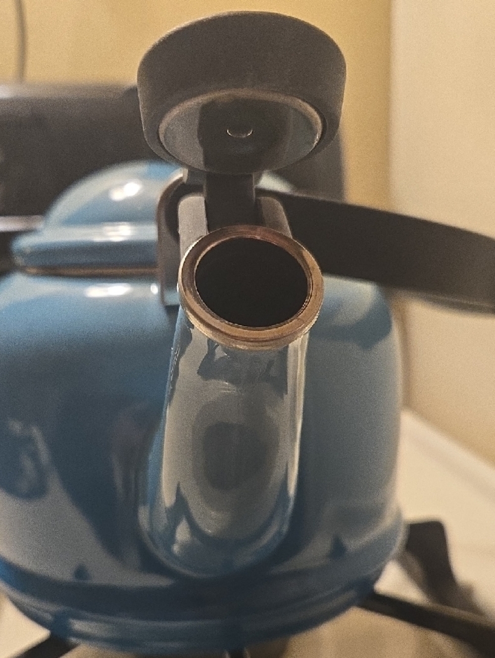 Le Creuset Carribean Blue Teakettle with Black Handle and Knob - Picture 5 of 16